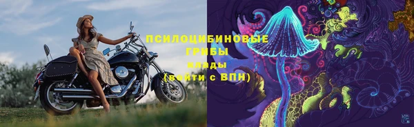 гашик Верхний Тагил