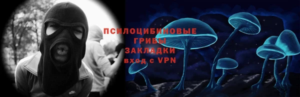 гашик Верхний Тагил