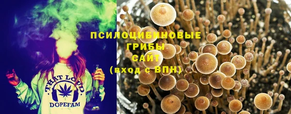 гашик Верхний Тагил