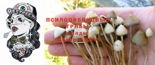 бошки Верея