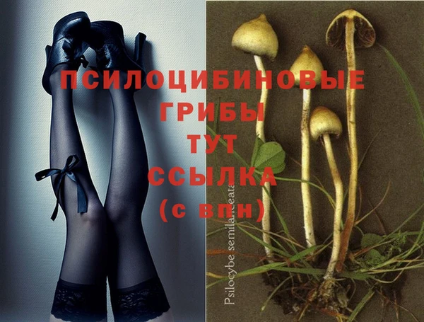 бошки Верея