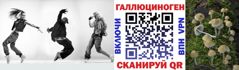 Псилоцибиновые грибы Cubensis Анапа